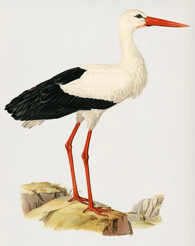 Stork Oracle: Delivering Data with Unwavering Reliability