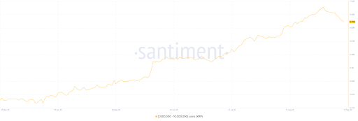 $480 Million In 2 Weeks? XRP Whale Movements Could Reveal The Next Price Direction