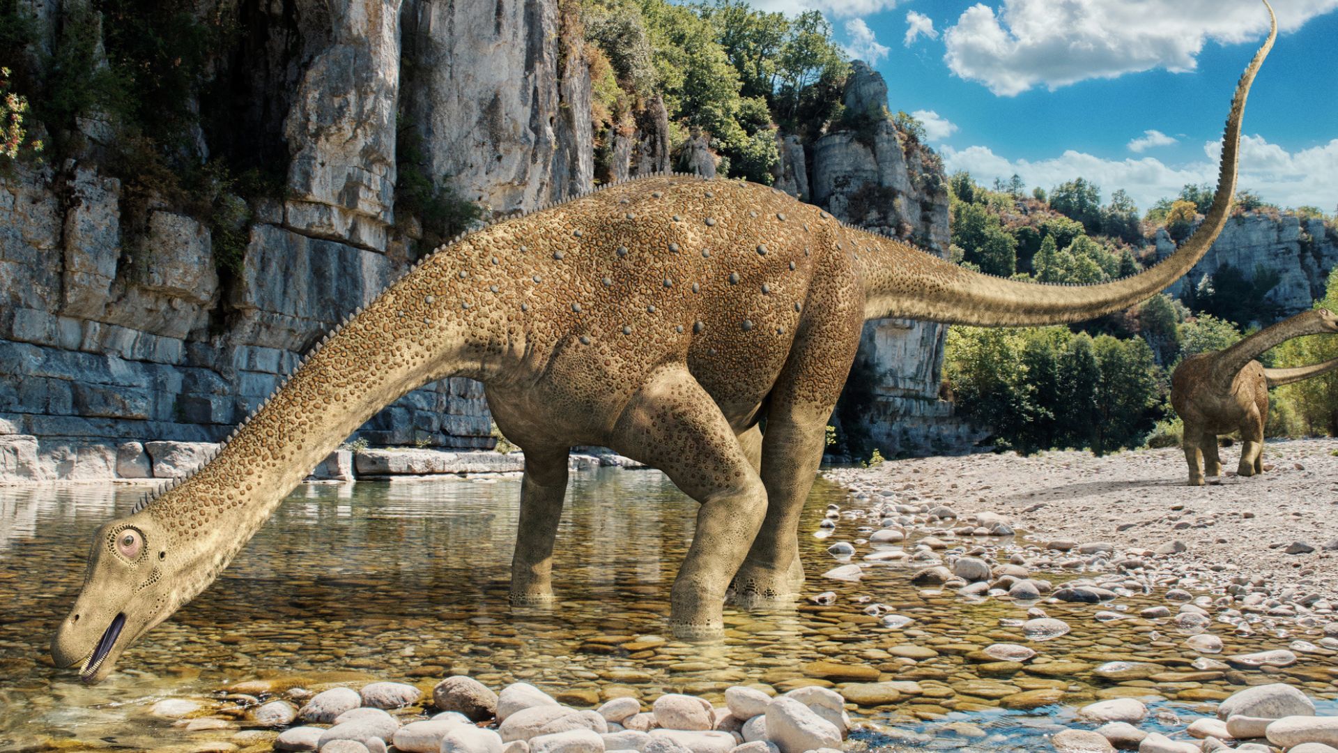 80-million-year-old fossils expose dinosaurs’ fatal bone infection
