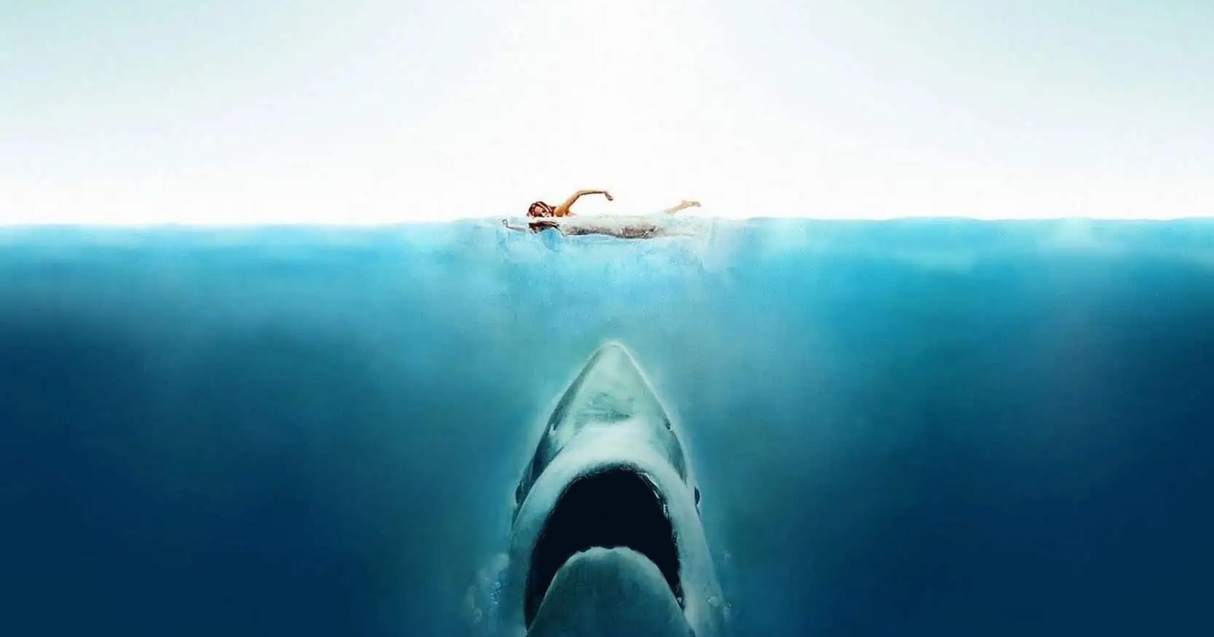 As Ocean Water Gets Worse, Sharks’ Teeth Start to Dissolve