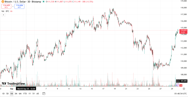 Bitcoin Reclaims $114K as Crypto Market Recovers — Maxi Doge Presale Heats Up