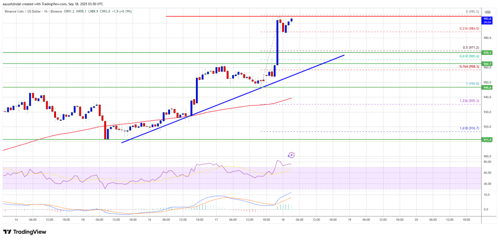 BNB Price Rally Nears $1,000 – Can Bulls Push Even Higher?