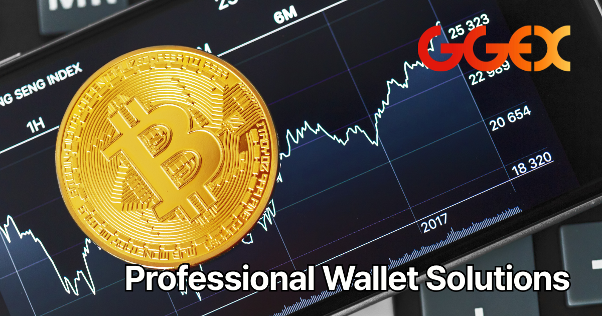 Comprehensive Wallet Solutions for Multi-Currency Trading