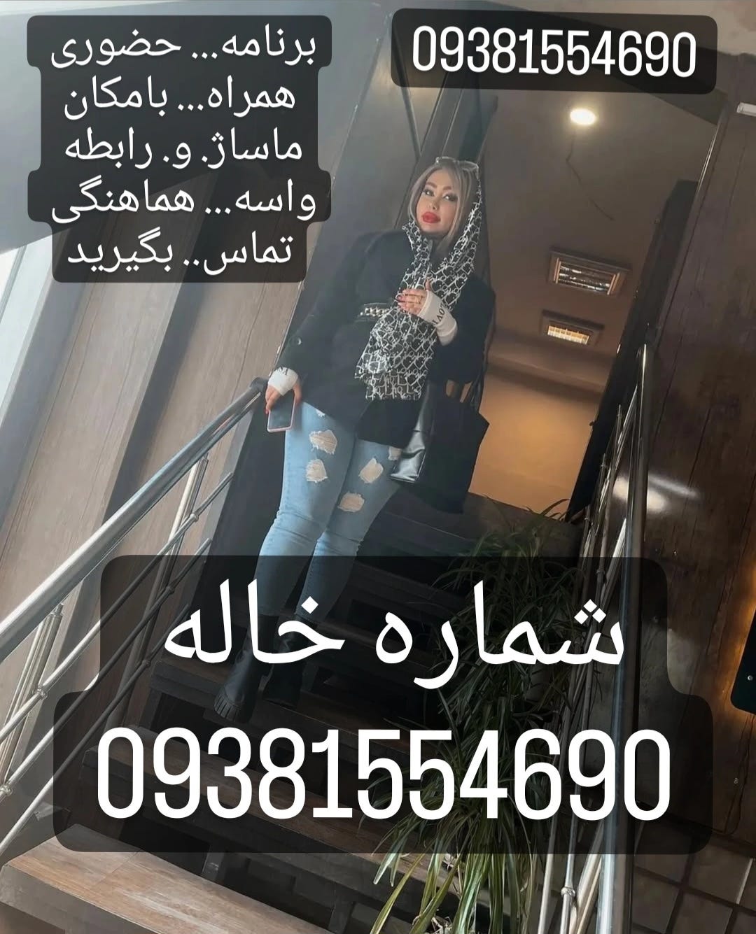 رشت دزفول شیراز