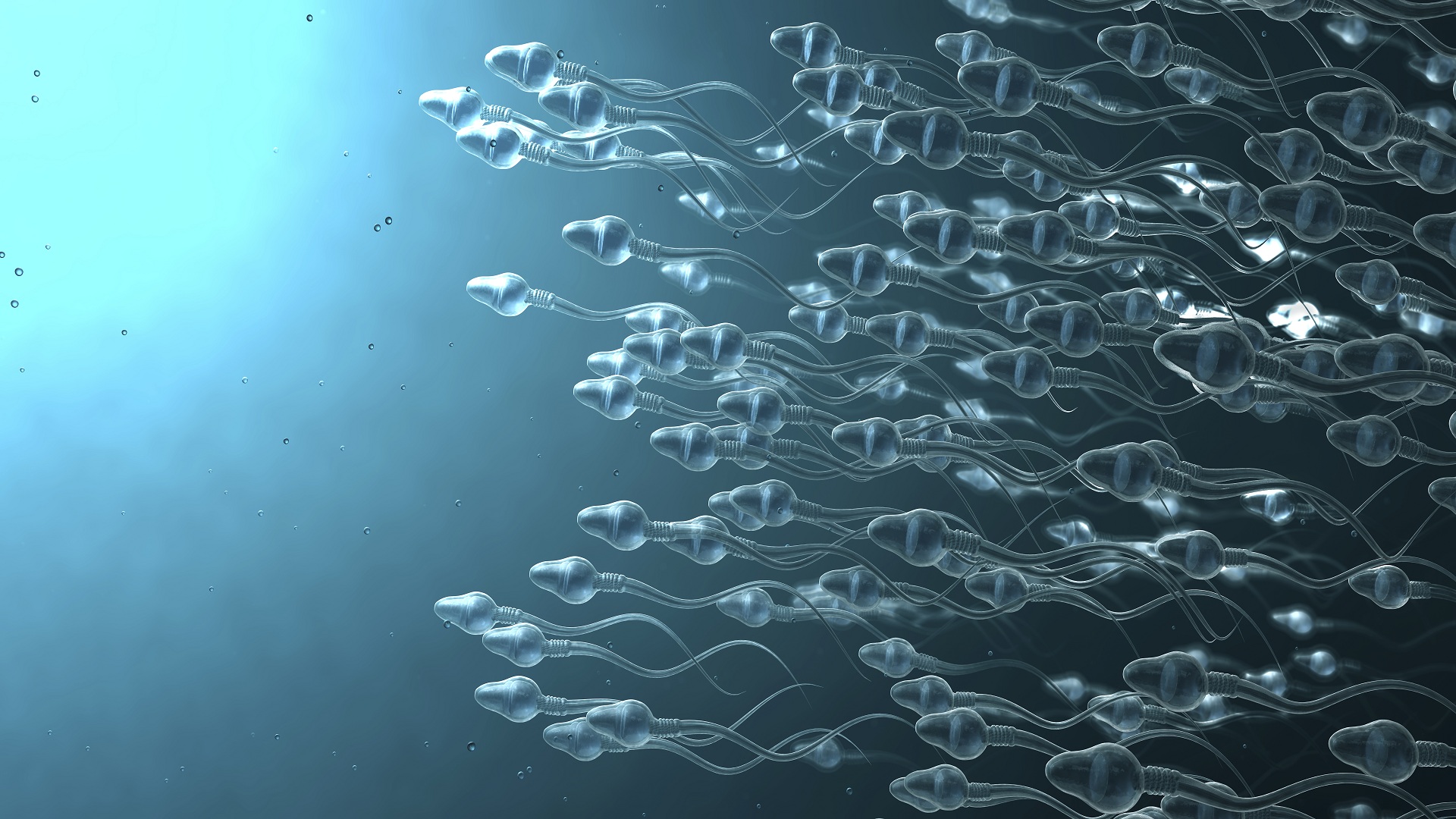 Future of fertility? Sperm turned into trackable microrobots for drug delivery
