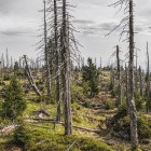 Klimawandel: Kosten der Erderwärmung in Europa untersucht