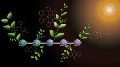 Künstliche Photosynthese: Molekül soll Treibstoff im Sonnenlicht erzeugen