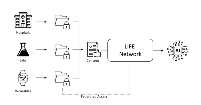 LIFE Networks: A Complete Value Creation Architecture