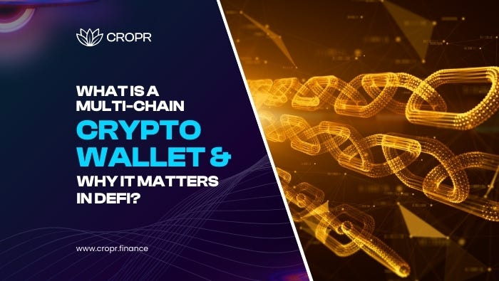 Multi Understanding Multi-Chain Crypto Wallets and Why They Matter