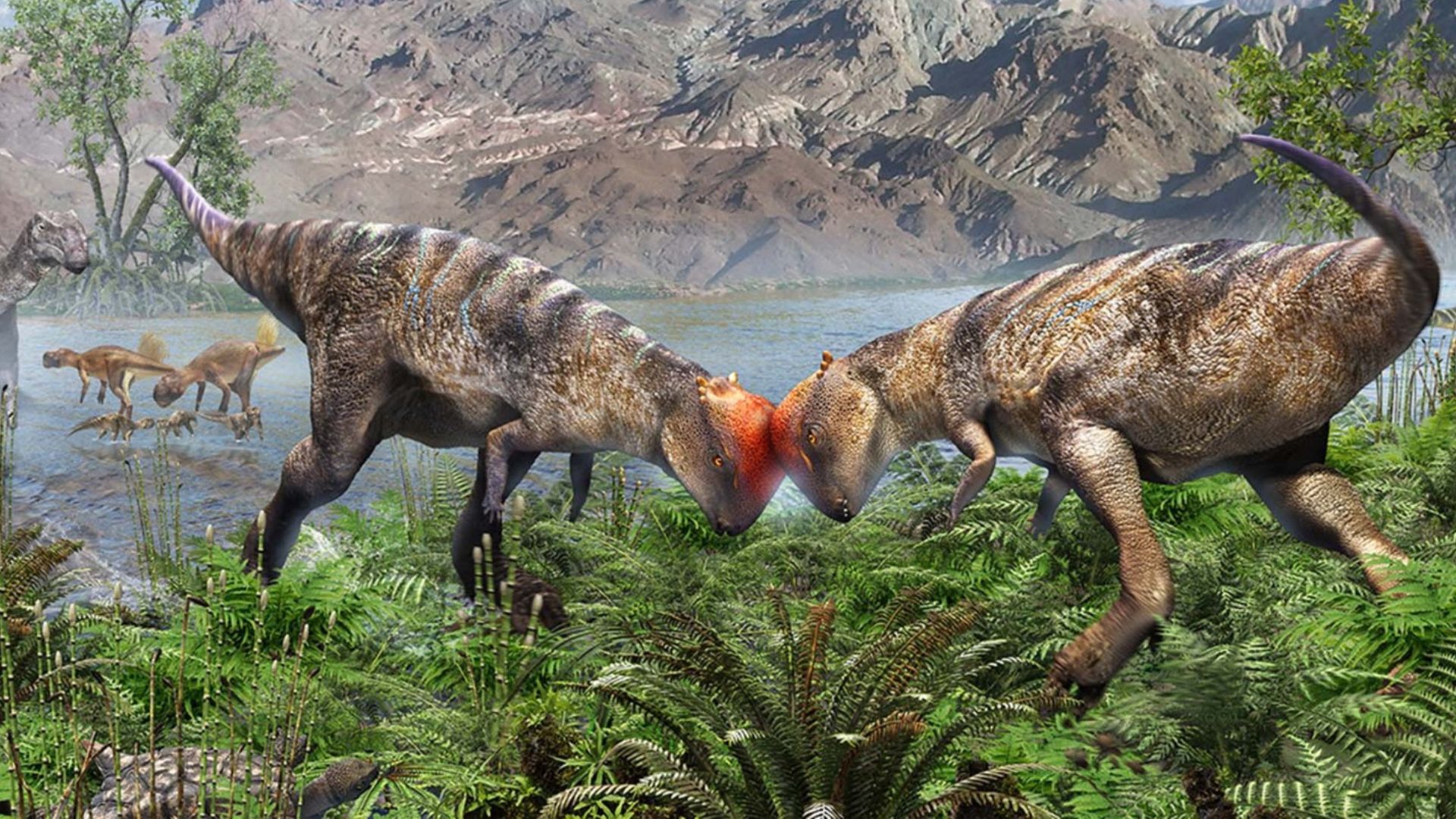 Once-in-a-lifetime discovery reveals dome-headed dinosaur headbutted to attract mates