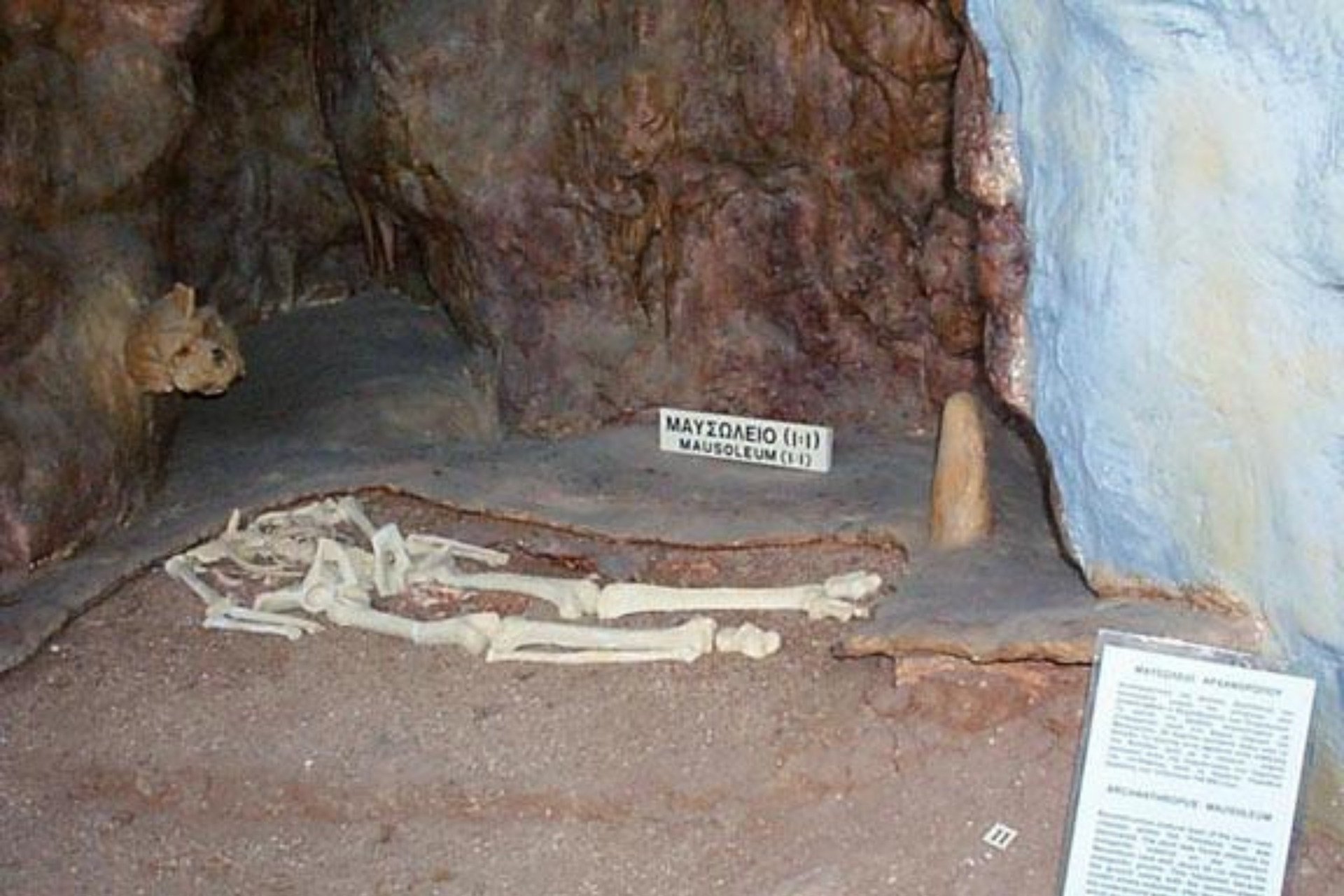 Prehistoric Skull Found Fused to Cave Wall May Have Belonged to Mysterious Ancient Hominid