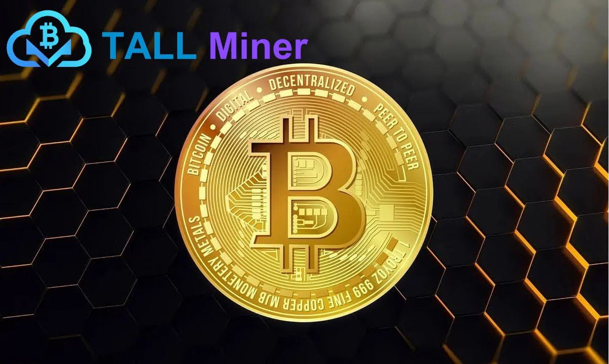 Riding the Blockchain Wave with TALL Miner