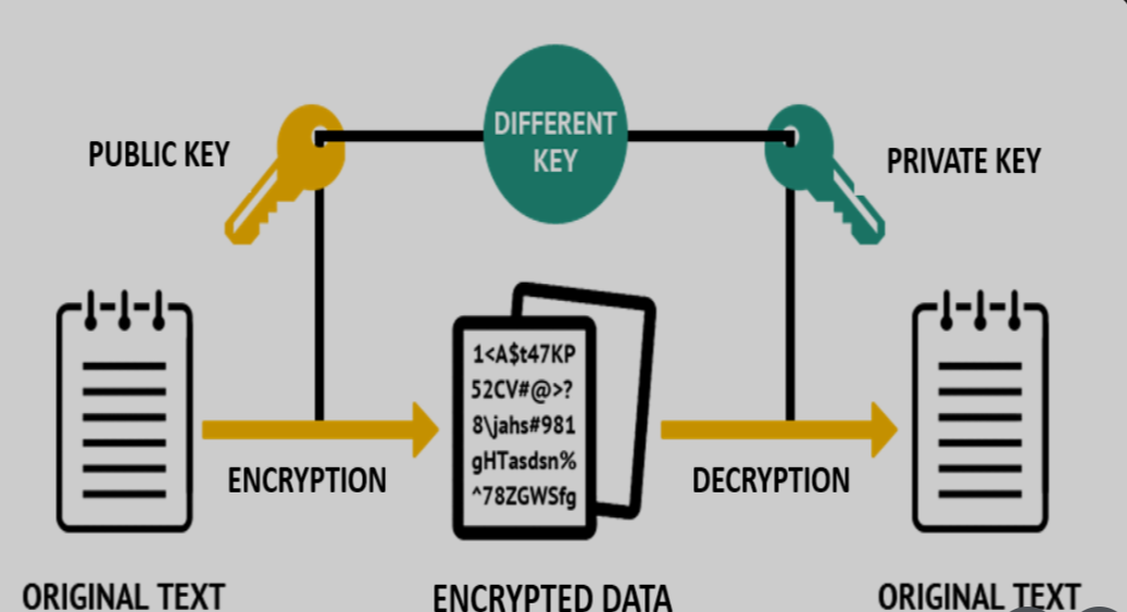RSA vs ECC: Understanding the Math Behind Modern Cryptography