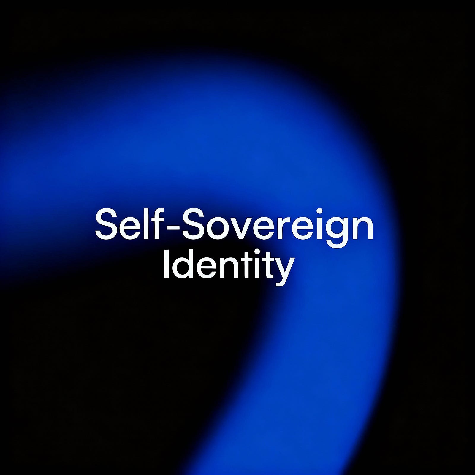 Self-Sovereign Identity (SSI)
