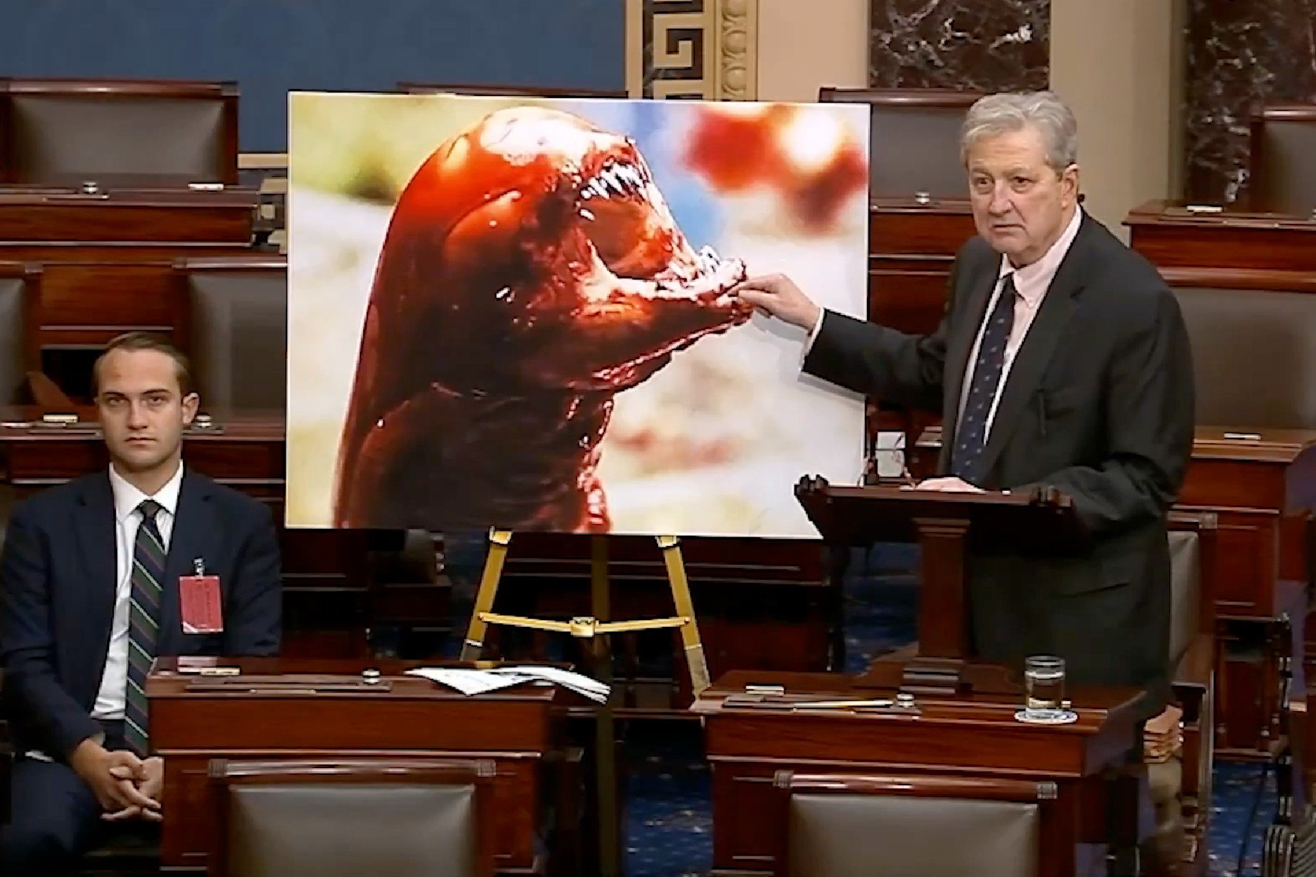 Senator Says Radioactive Shrimp Will Turn You Into the Alien From ‘Alien’