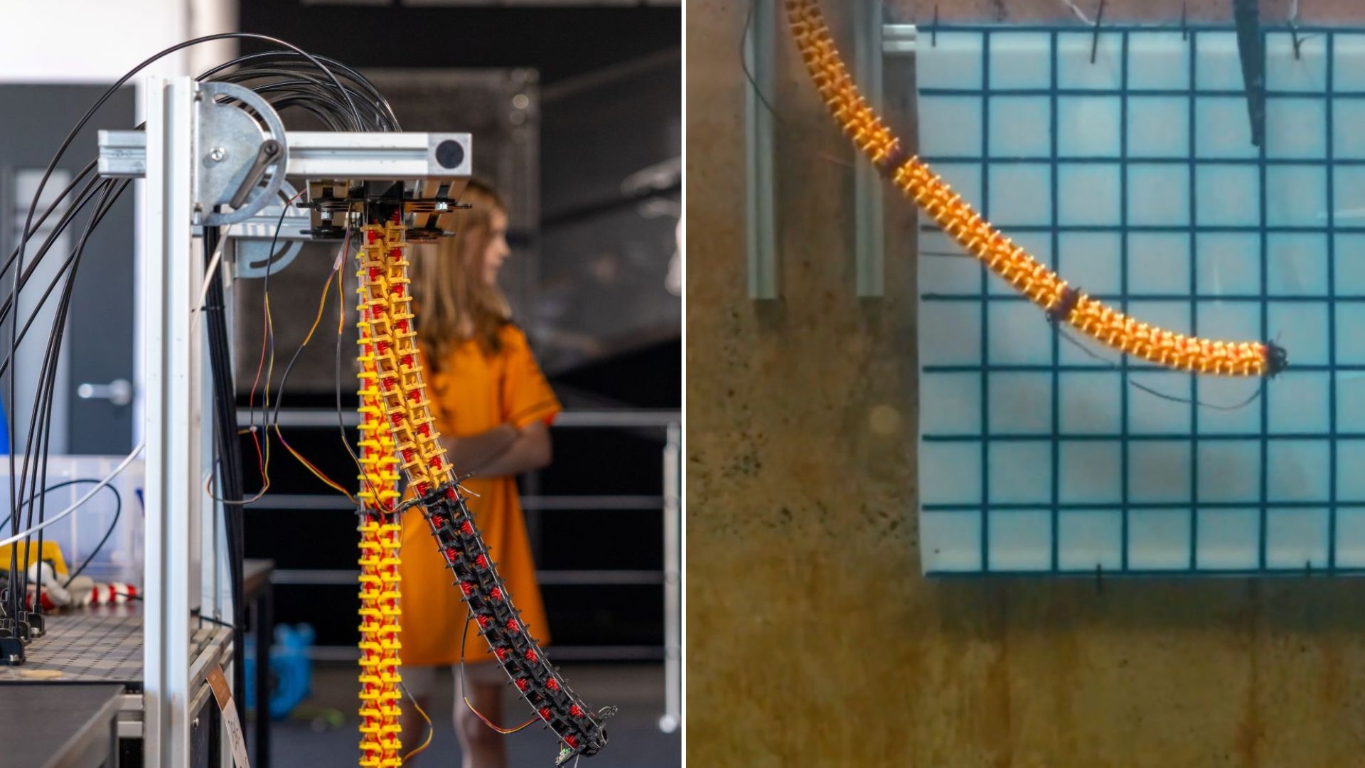 Snake-like robot with tentacles could replace divers in risky offshore jobs