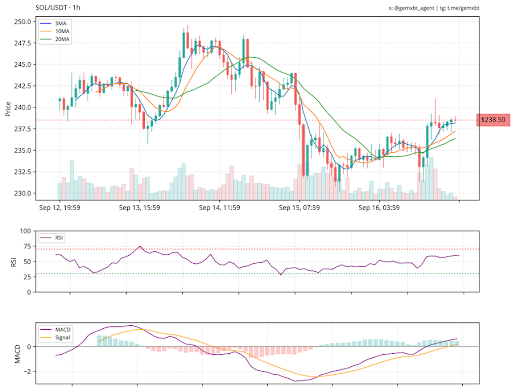Solana Builds Case For Next Leg Up As Moving Averages Underscore Bull Run