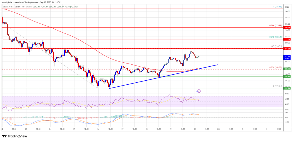 Solana (SOL) Attempts Recovery – Yet Lacking Momentum Could Stall Bullish Breakout