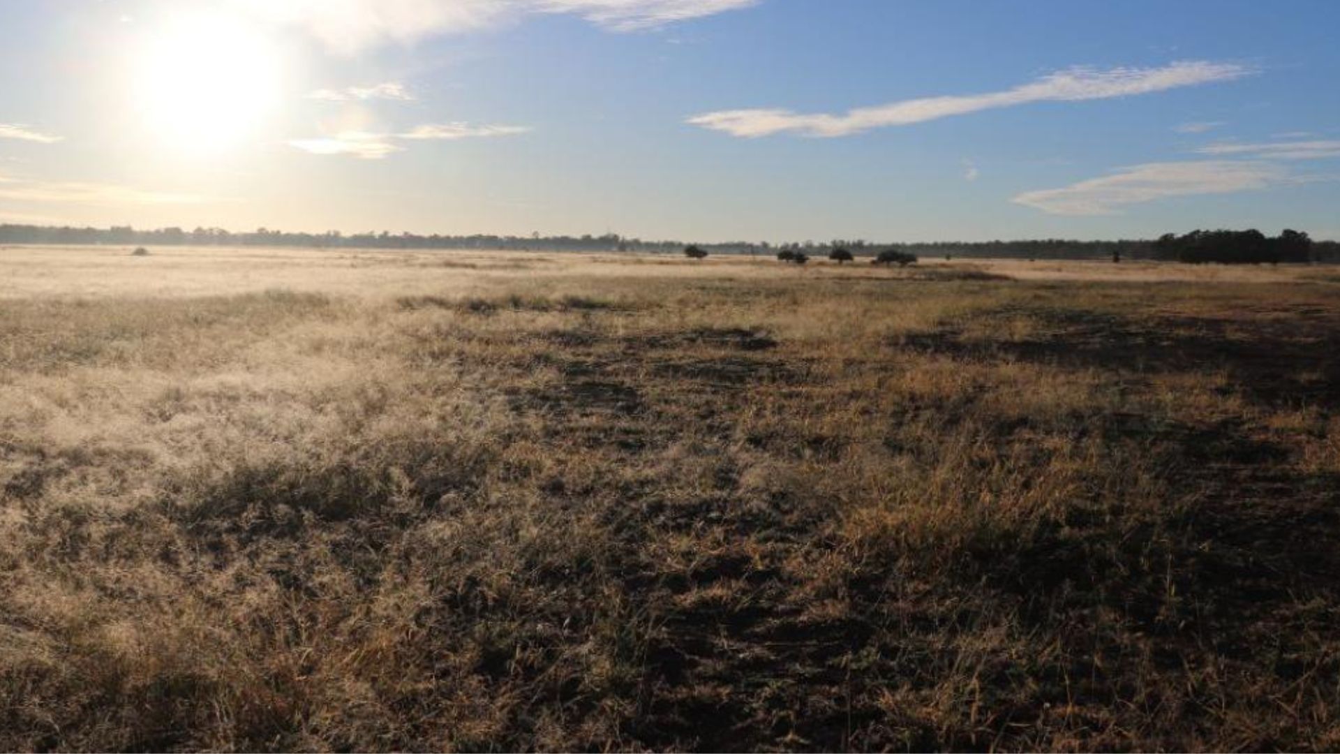 ‘Super-emitter’: Abandoned coal borehole leaks methane equivalent to 10,000 cars