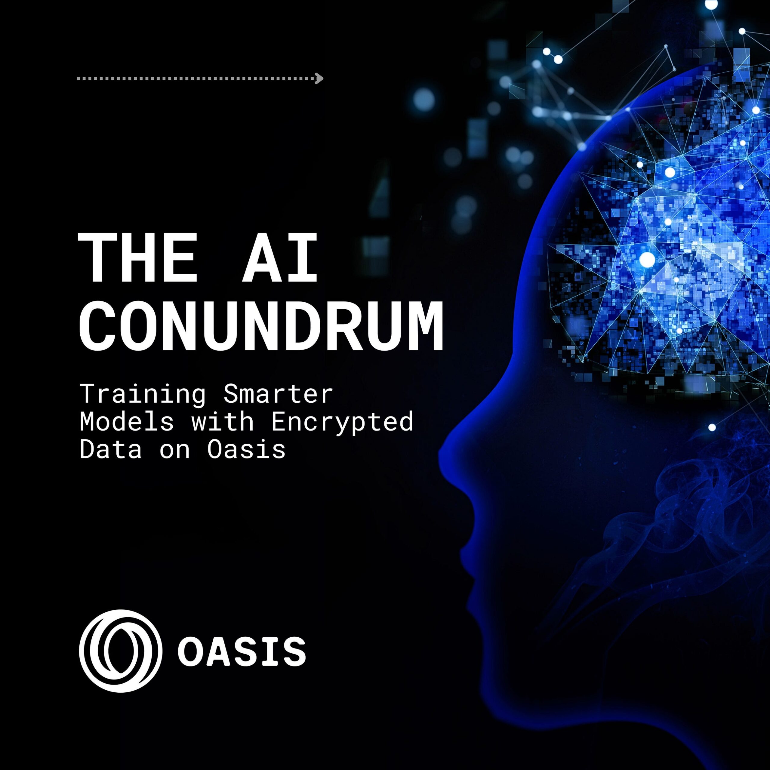 The AI Conundrum: Training Smarter Models with Encrypted Data on Oasis