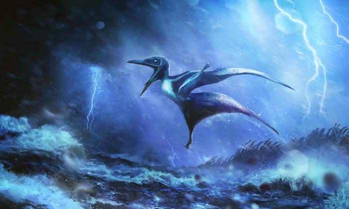 Two baby pterosaur fossils with broken wings solve centuries-old mystery