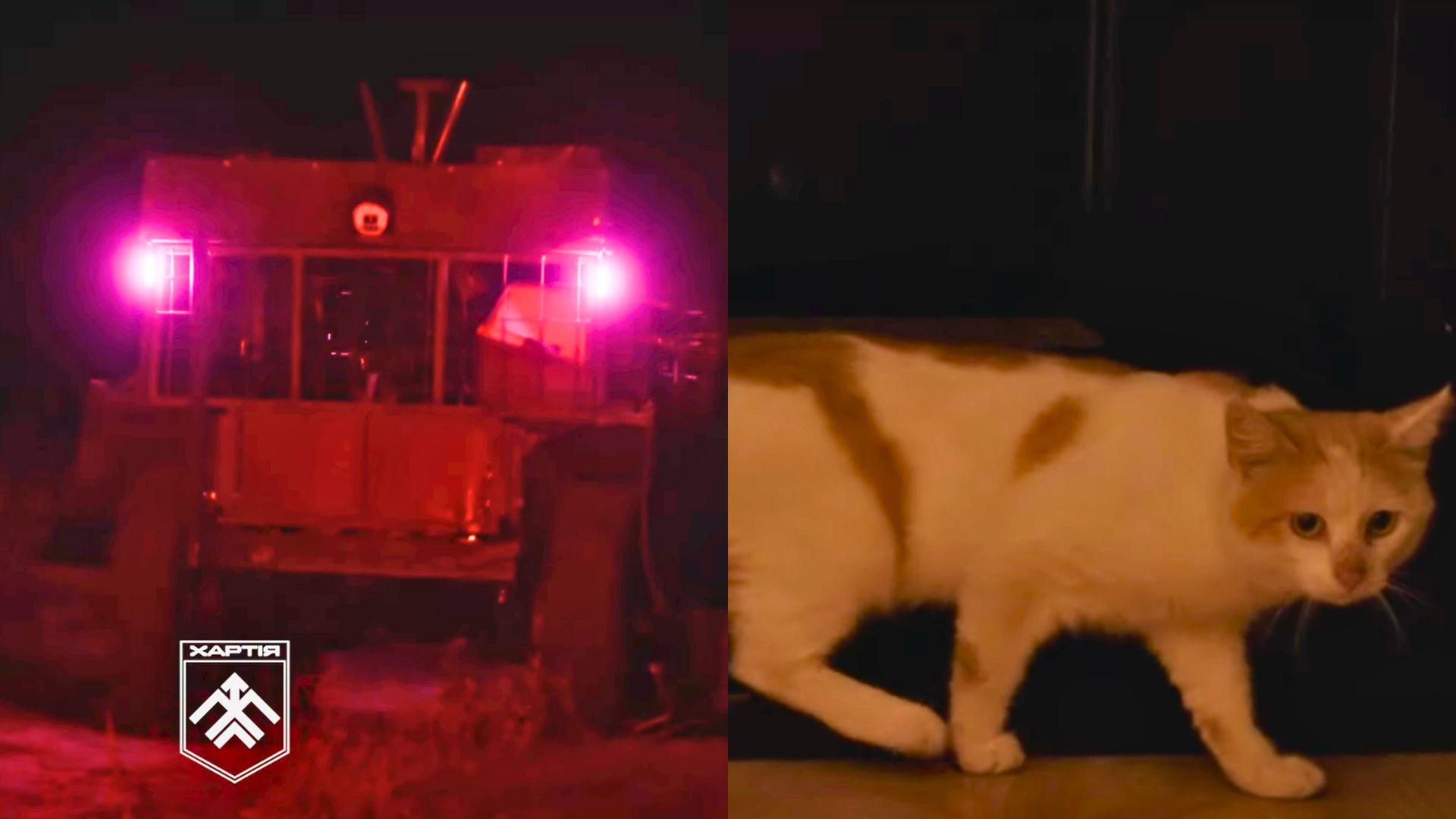 Video: Ukrainian troops deploy ground robot to rescue cat from frontline
