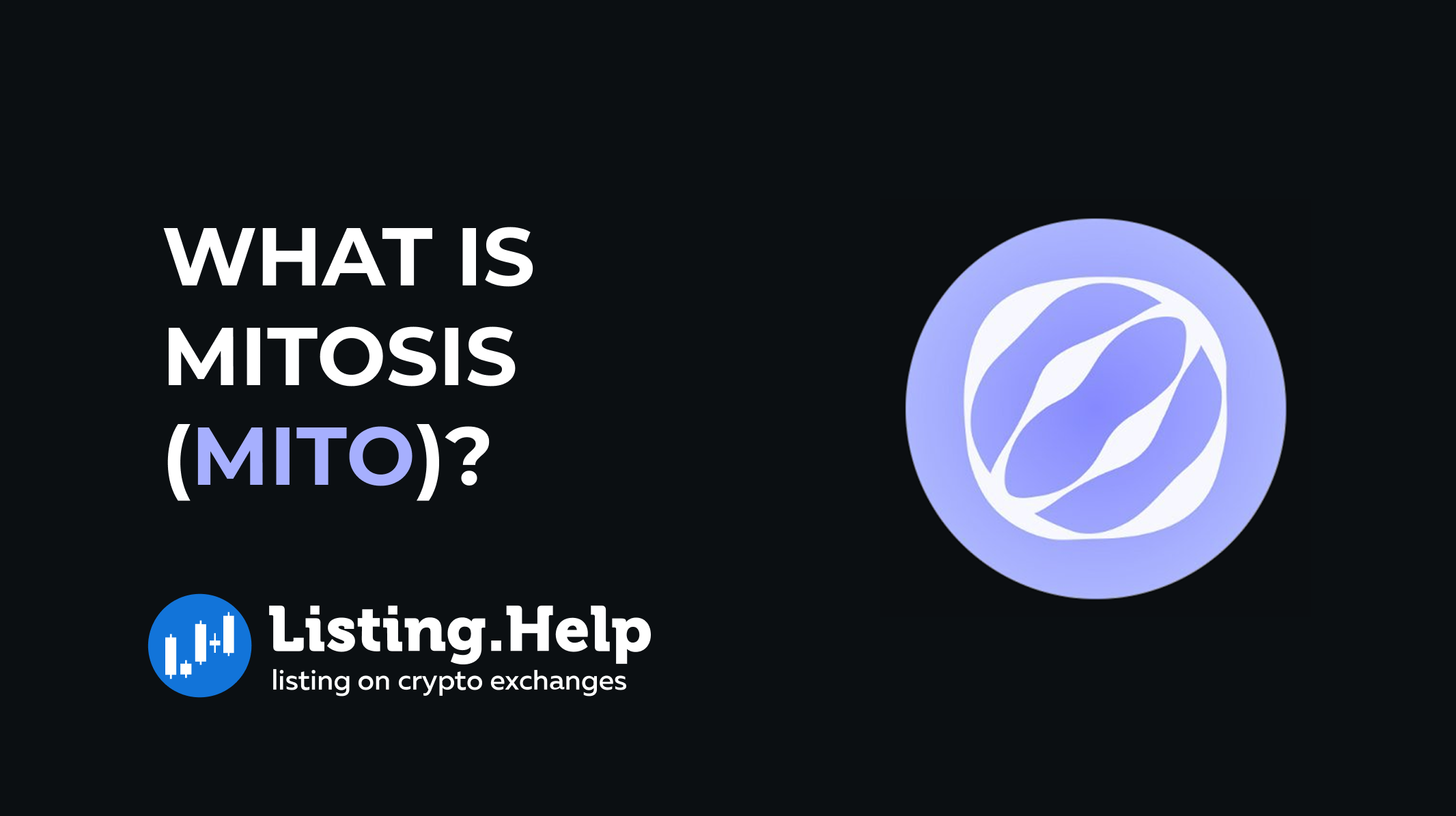 What is Mitosis (MITO)?