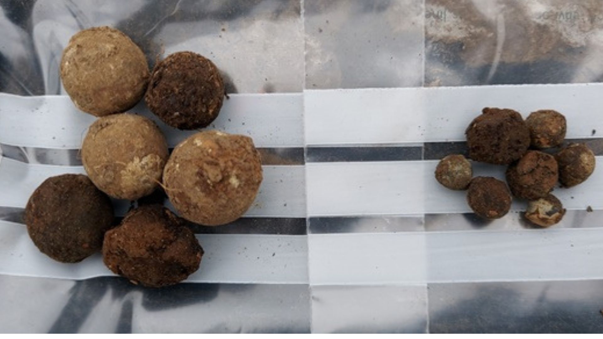 18th-century Scottish battleground dig reveals lead musket balls, cannon shot