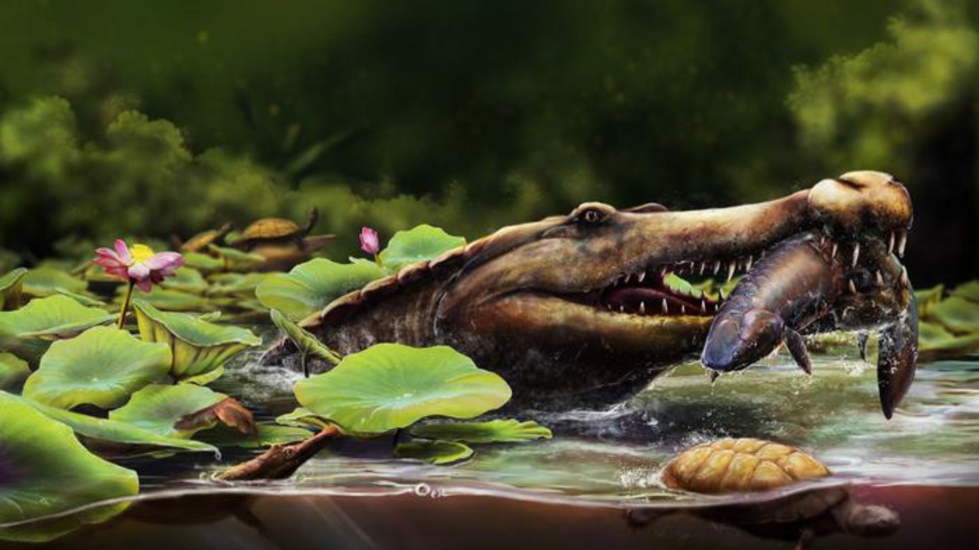 80 million-year-old fossil of marine crocodile with needle-sharp teeth found in Egypt