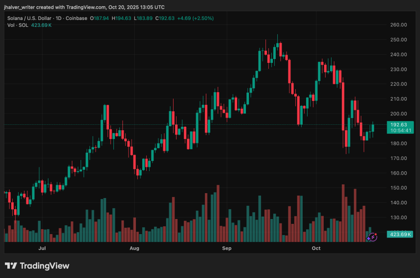 Analysts See $250 Rally Ahead as Solana Holds Key Support and Trading Volume Surges