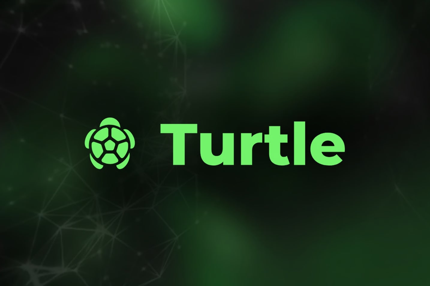 Binance HODLer Airdrops Launches $10M TURTLE, Over 154M Tokens to Enter Market