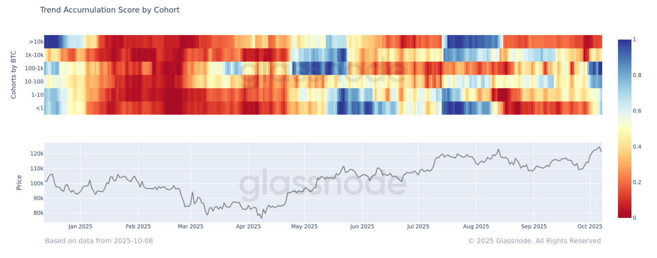 Bitcoin Investors Pivoting To Accumulation, But Mega Whales Are Still Selling