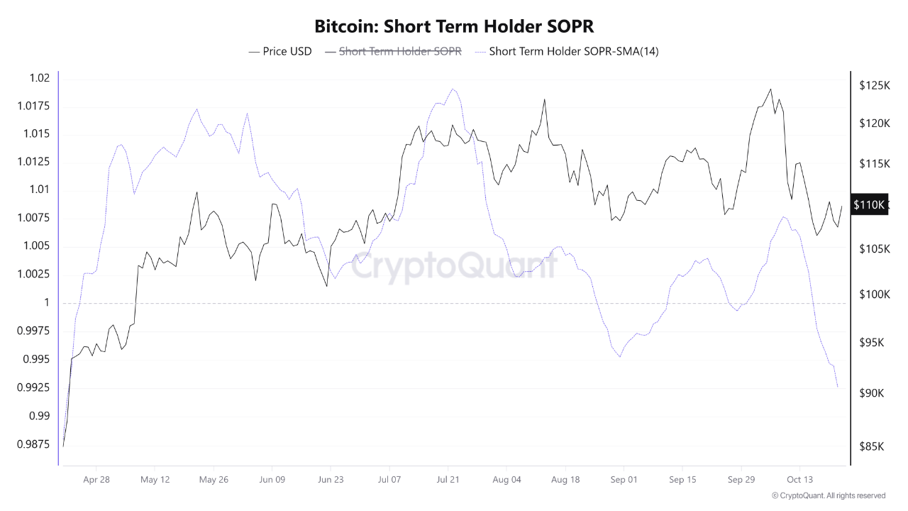 Bitcoin STH-SOPR Falls Below 1.0 for the First Time Since April – What This Means
