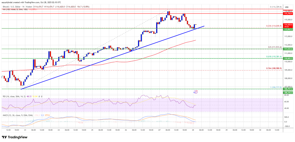 Bitcoin Trades Sideways — Consolidation Above Support Could Fuel Next Upside