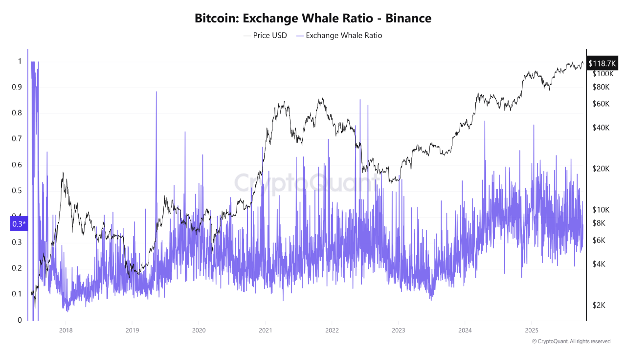 Bitcoin Whale Activity Reflects Sustained Confidence As $163K Comes In Sight — Details