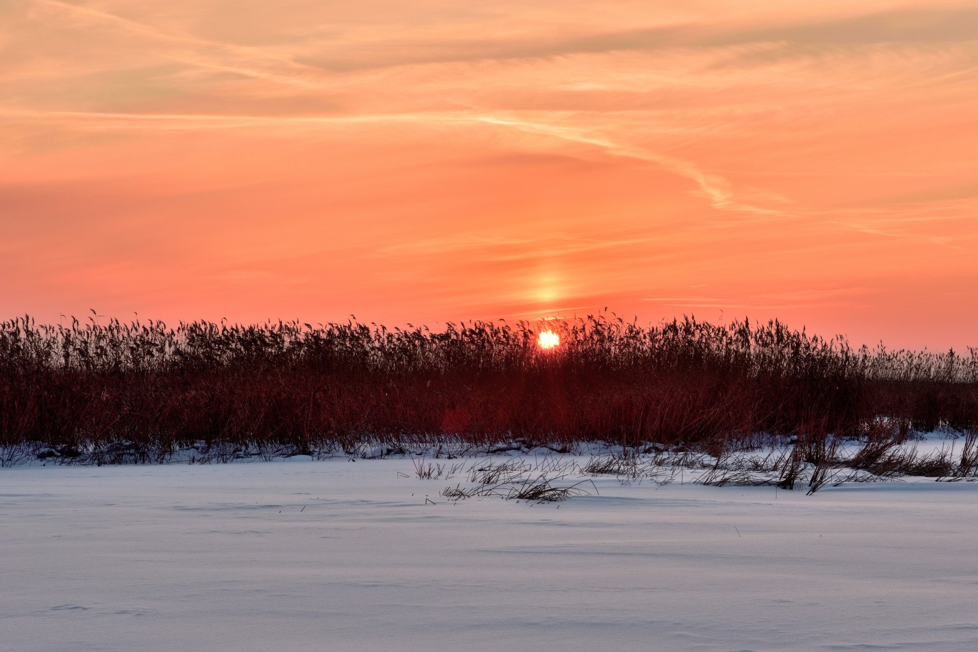 Changing the Clocks Goes Against Human Nature—and Nature Itself