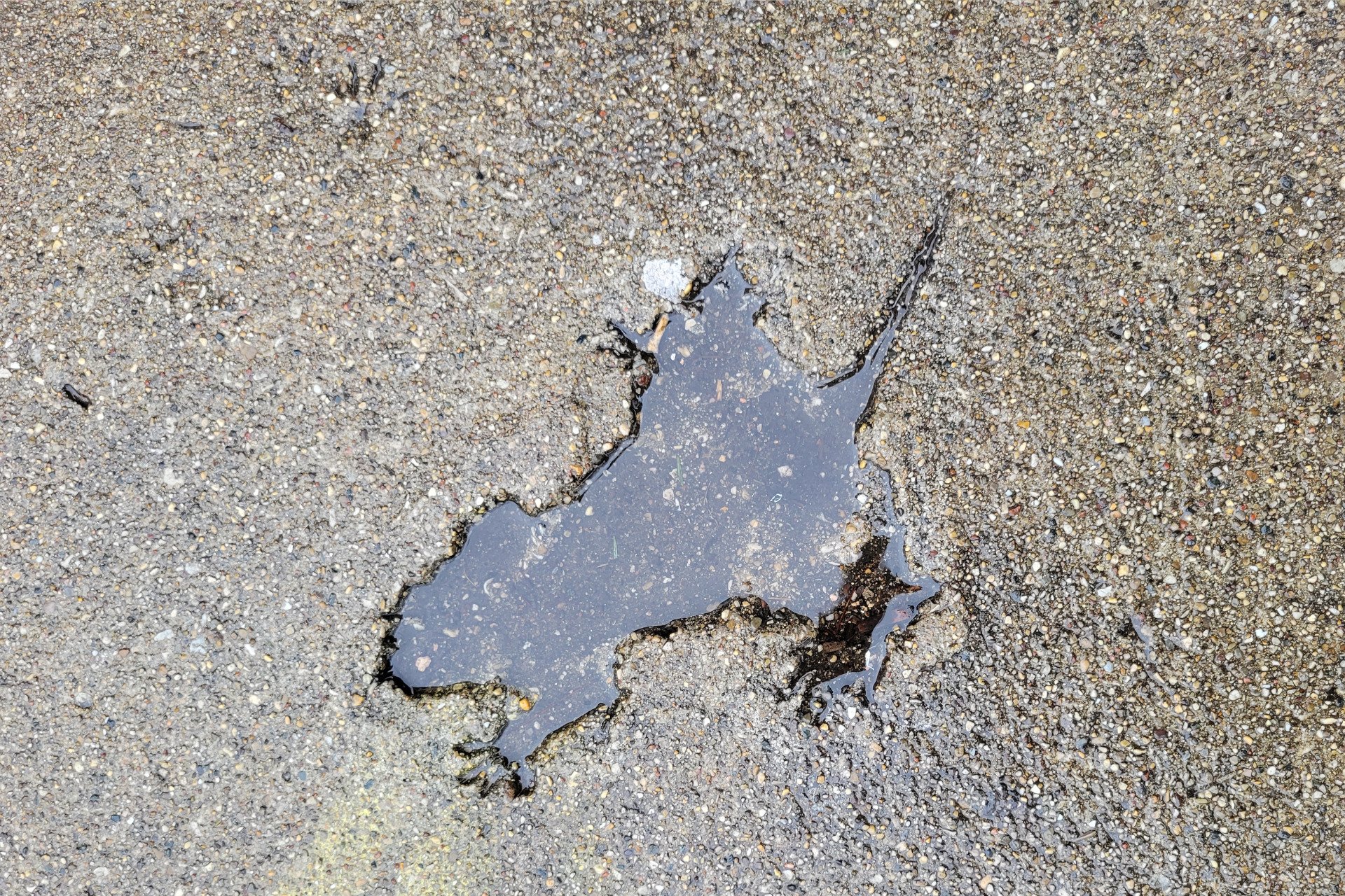 Chicago’s Famous Rat-Shaped Hole Is Actually a Squirrel