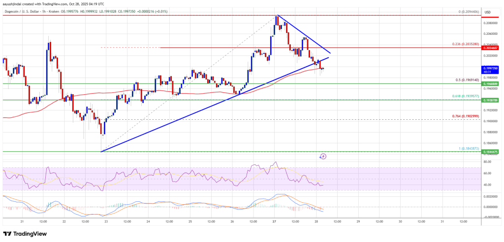 Dogecoin (DOGE) Cools Off — Buyers Struggle To Sustain Recovery Above Key Levels