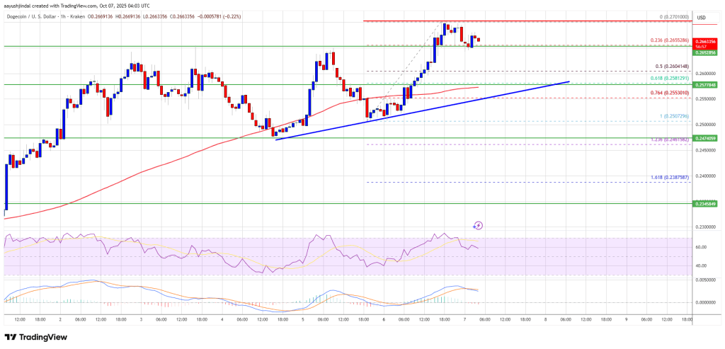 Dogecoin (DOGE) Turns Higher – Is This The Beginning Of A Stronger Recovery?