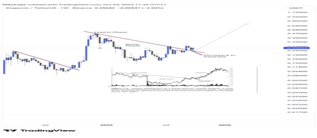 Dogecoin Face-Melting Rally: This Bullish Impulse Will Send Price Toward $0.8 ATH