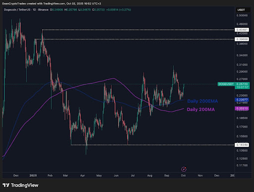 Dogecoin Is Primed For A Higher Move To $0.4 Soon, It Just Needs To Hold This Level