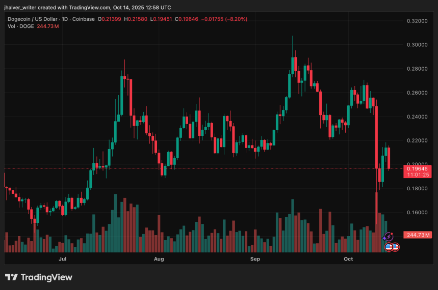 Dogecoin Price Falls 4% Today but Analysts Say Nasdaq Listing Could Reignite $1 Target