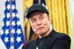 Elon Musk will Netflix wegen angeblicher „Trans-Propaganda“ canceln