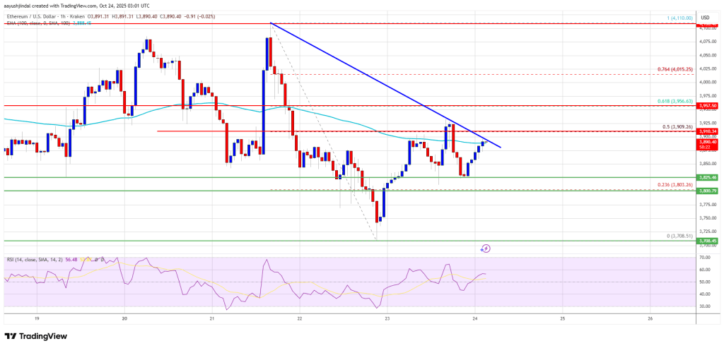 Ethereum Gathers Strength — Upside Breakout Could Confirm Recovery Phase