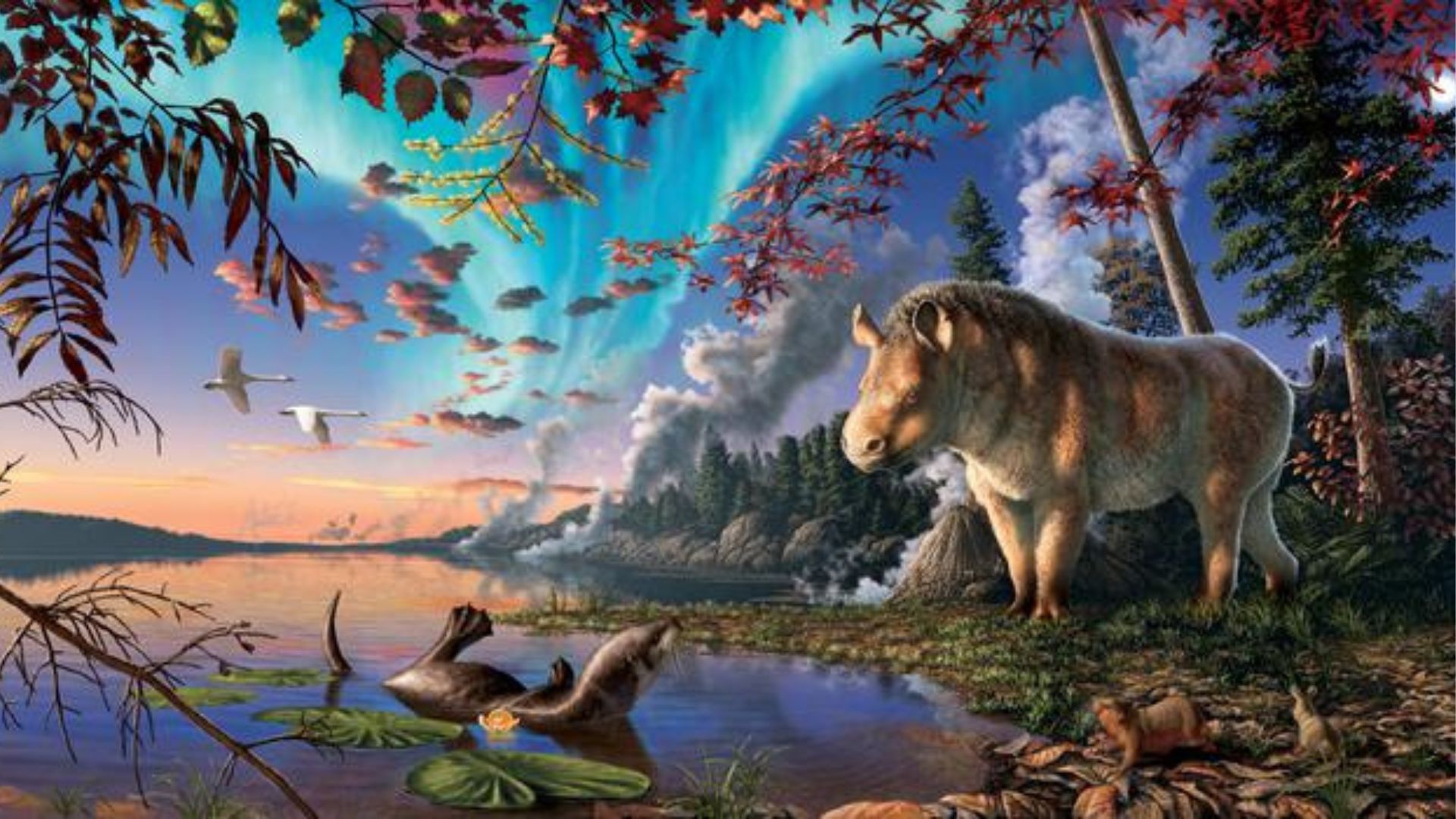 Fossil of extinct hornless rhino that roamed Canada 23 million years ago discovered