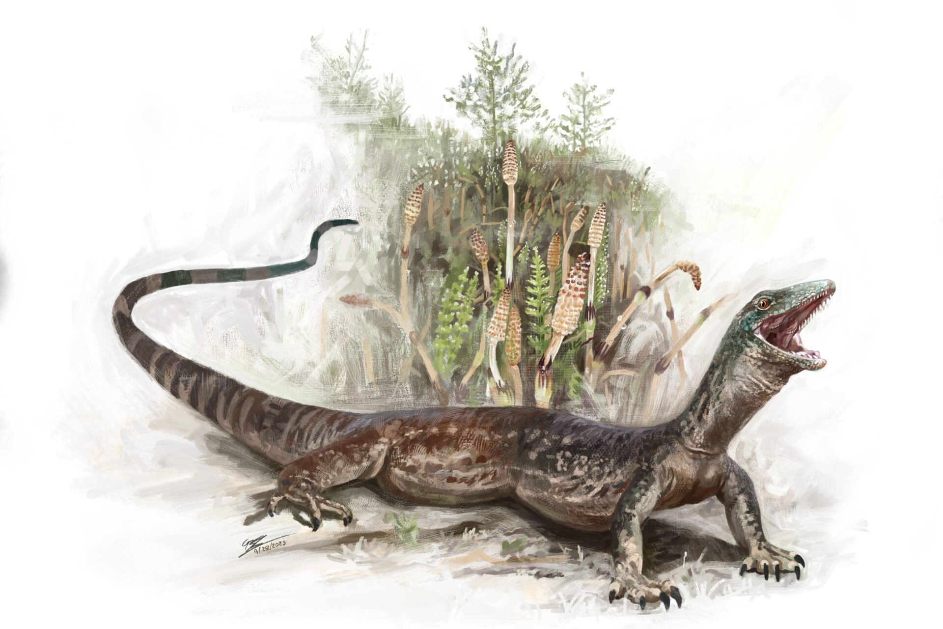 Freaky Jurassic Reptile Is a Weird Mix of Snake and Lizard