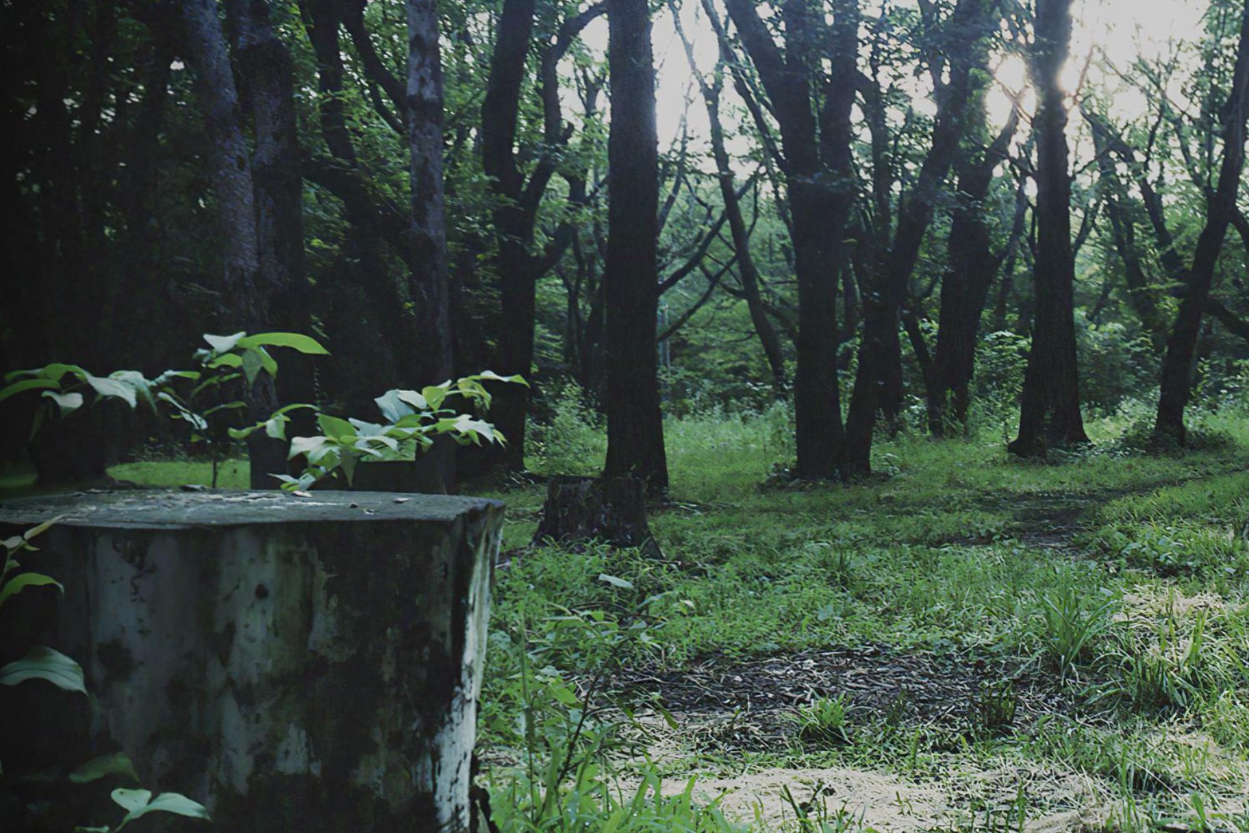 Hideo Kojima’s ‘P.T.’ Demo is Helping Japanese Kids Learn English