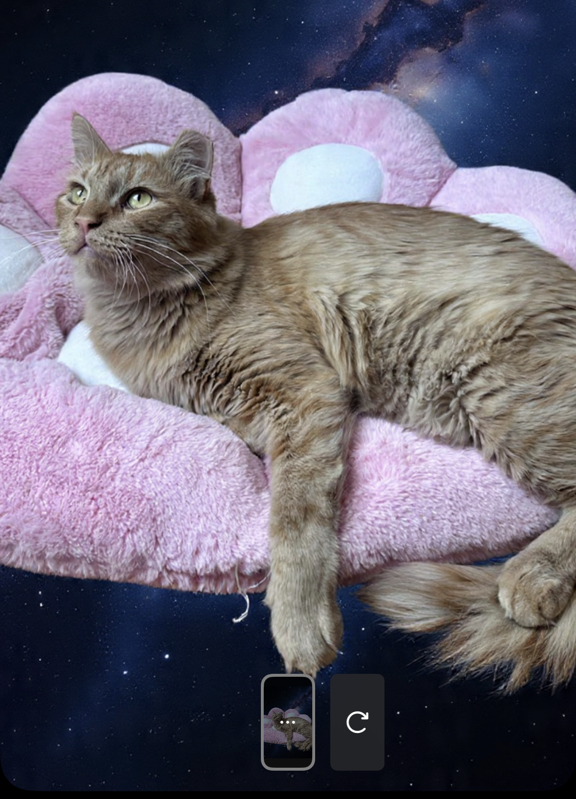 Instagram Stories is getting new AI-powered editing tools