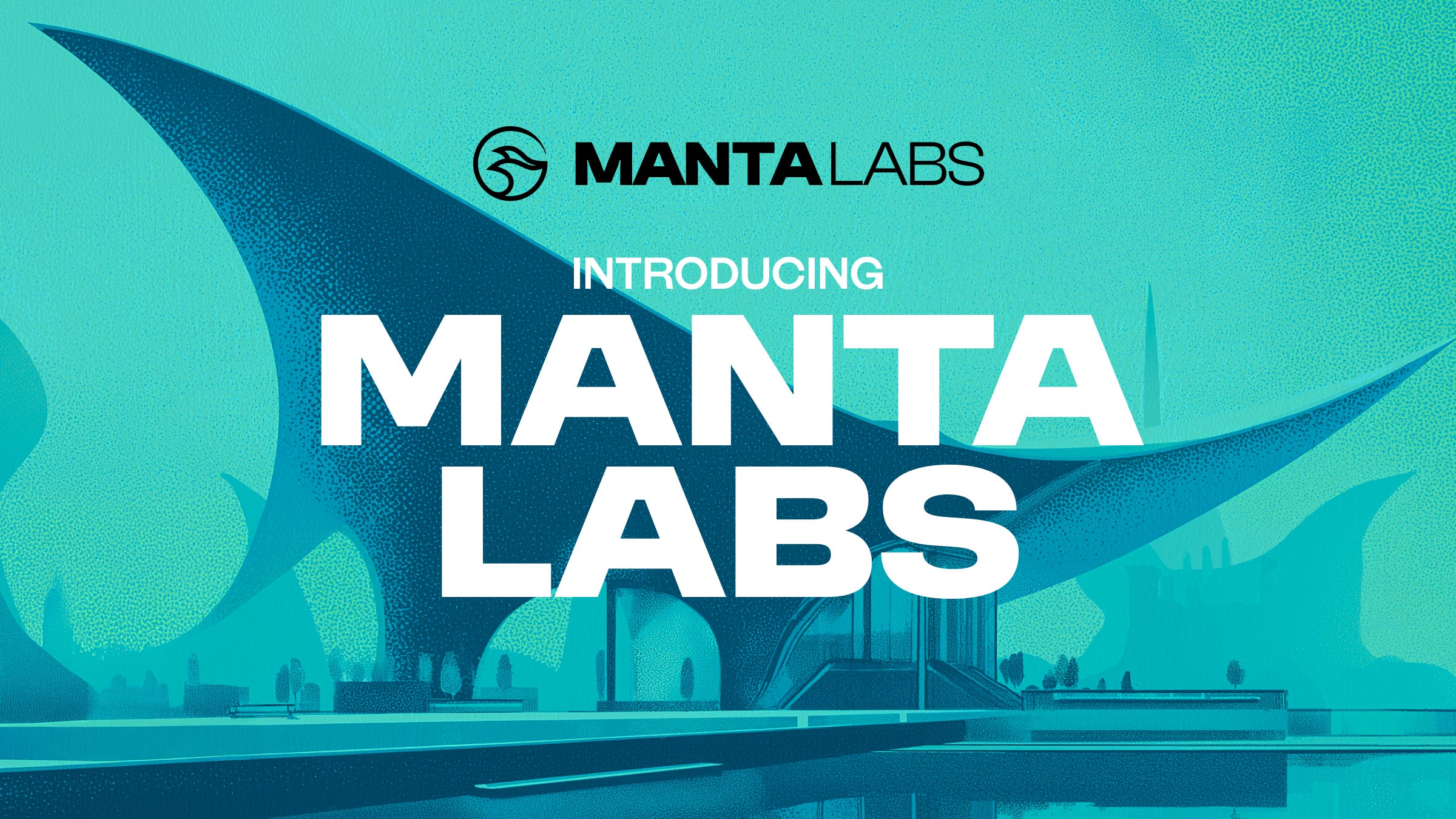 Introducing Manta Labs