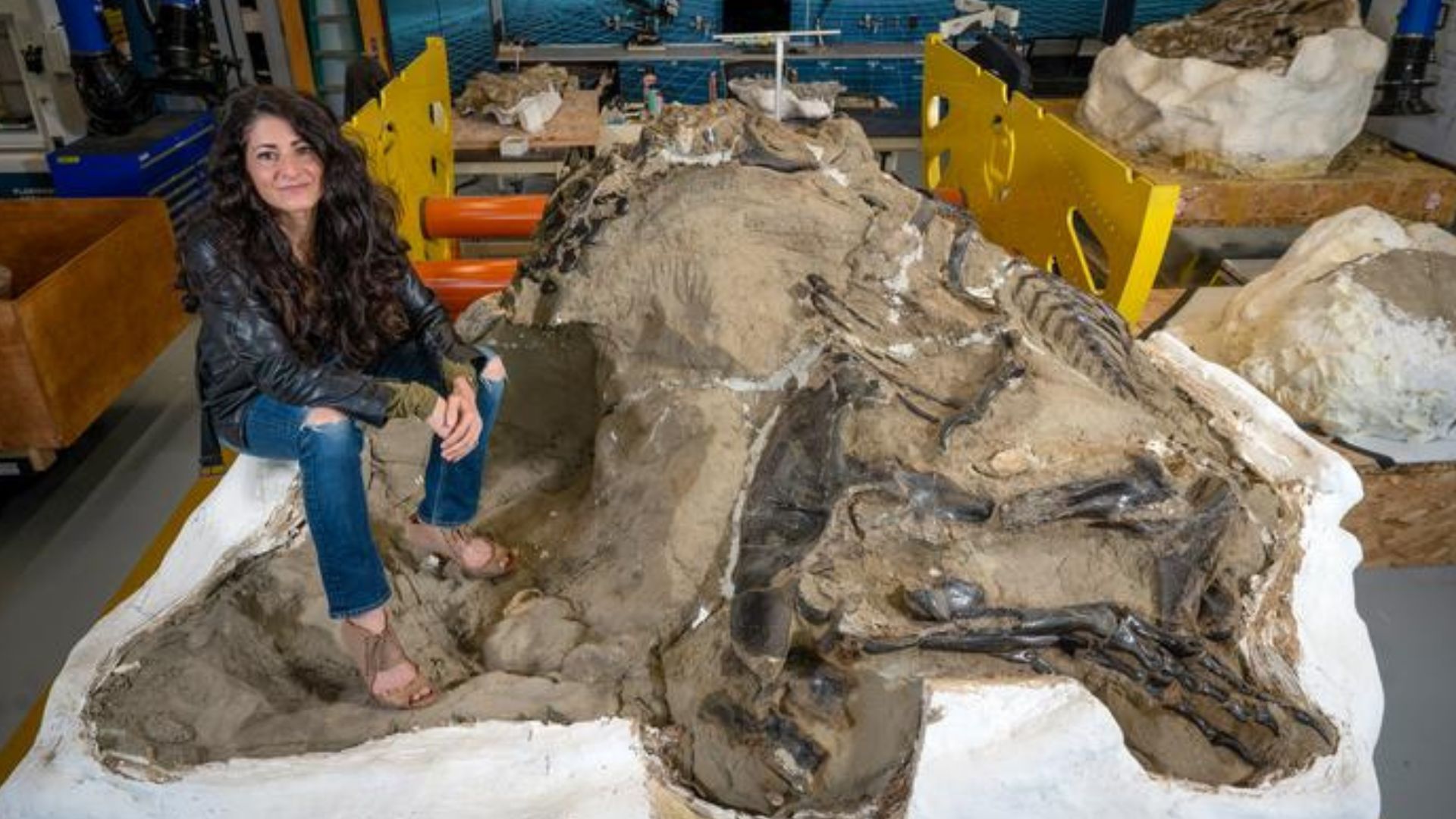 No teenage T. Rex: Fossil in ‘Dueling Dinosaurs’ specimen confirmed as Nanotyrannus